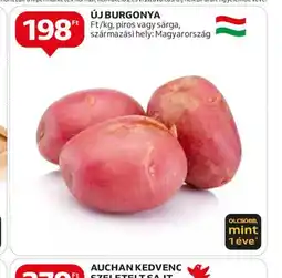 Auchan Új burgonya ajánlat