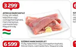 Auchan Afrikai harcsafilé ajánlat