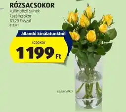 ALDI RÓZSACSOKOR 1csokor ajánlat