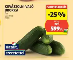 ALDI KOVÁSZOLNI VALÓ UBORKA /kg ajánlat