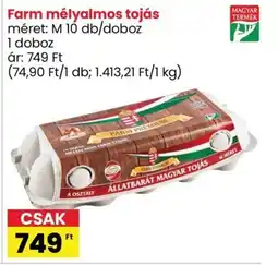 Interspar Farm mélyalmos tojás 1db ajánlat