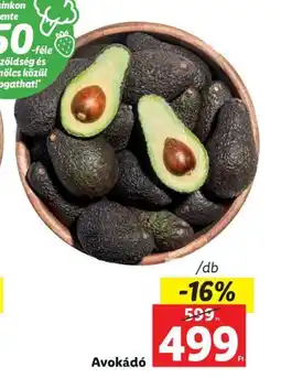 Lidl Avokádó 1db ajánlat