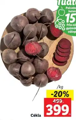 Lidl Cékla 1kg ajánlat