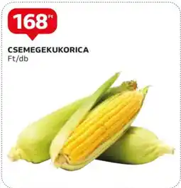 Auchan CSEMEGEKUKORICA 1db ajánlat