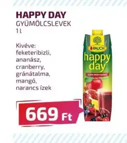HAPPY DAY GYÜMÖLCSLEVEK 1l