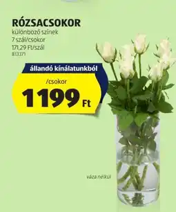 ALDI RÓZSACSOKOR /csokor ajánlat