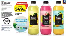 ALDI CAPPY LIMONÁDÉ 1,25l ajánlat