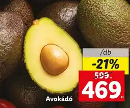 Avokádó