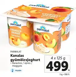 PARMALAT Kanalas gyümölcsjoghurt