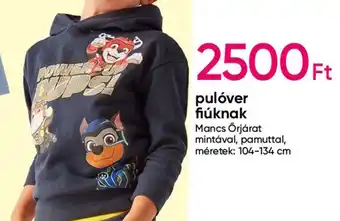 Pepco Pulóver fiúknak ajánlat