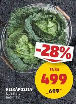PENNY Kelkáposzta ajánlat
