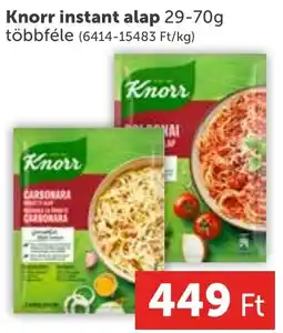 Knorr instant alap