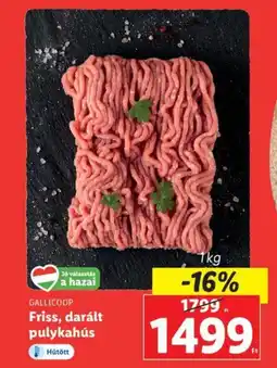 GALLICOOP Friss, daralt pulykahus