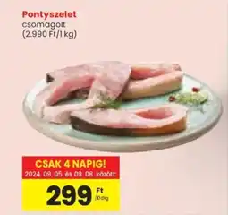 Pontyszelet