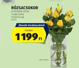 ALDI Rózsacsokor ajánlat