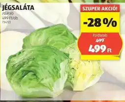 ALDI Jégsaláta ajánlat