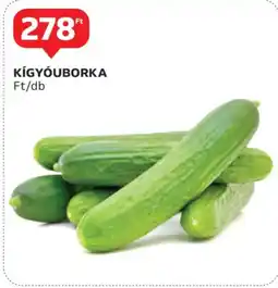 Auchan Kígyóuborka ajánlat