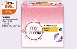 Camelia egészségügyi betét