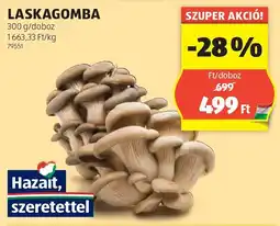 ALDI Laskagomba ajánlat