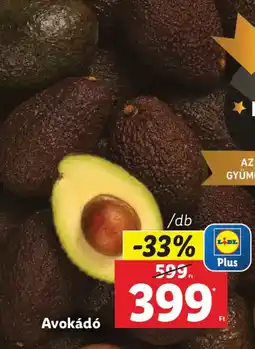 Lidl Avokádó ajánlat
