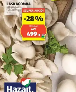 ALDI Laskagomba ajánlat