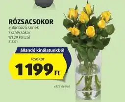 ALDI Rózsacsokor ajánlat