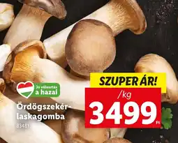Lidl Ördögszekér laskagomba ajánlat