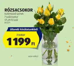 ALDI Rózsacsokor ajánlat