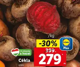 Cékla