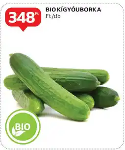 Auchan Bio kígyóuborka ajánlat