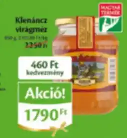 Klenáncz virágméz