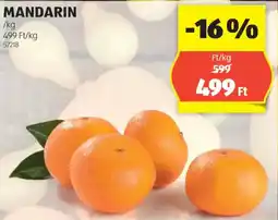 ALDI Mandarin ajánlat