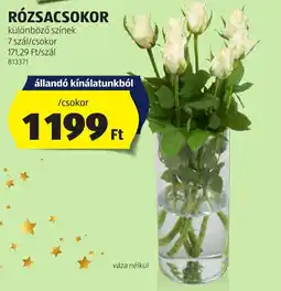 ALDI Rózsacsokor ajánlat