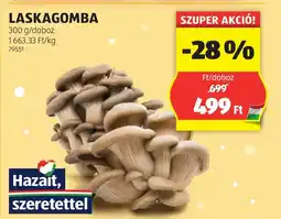 ALDI Laskagomba ajánlat