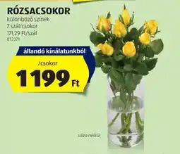 ALDI Rózsacsokor ajánlat