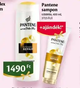 EcoFamily Pantene sampon ajánlat