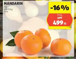 ALDI Mandarin ajánlat