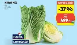 Kínai kel