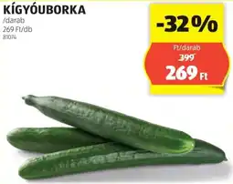 Kígyóuborka