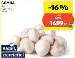 ALDI Gomba ajánlat