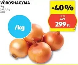 ALDI Vöröshagyma ajánlat