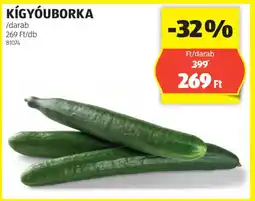 ALDI Kígyóuborka ajánlat