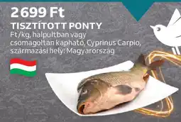 Auchan Tisztított ponty ajánlat