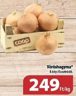 Coop Vöröshagyma ajánlat