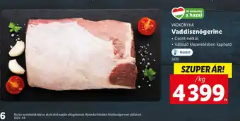 Lidl Vad diszngerinc ajánlat