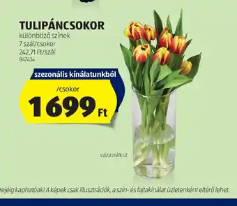 ALDI Tulipáncsokor ajánlat