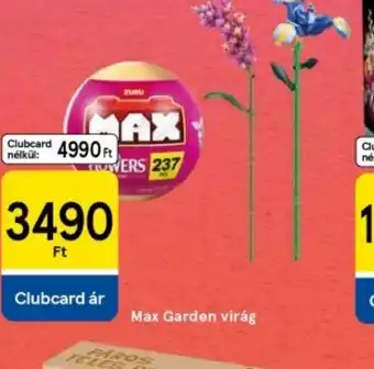 Tesco Max Garden virág ajánlat