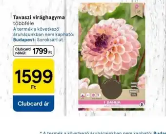 Tesco Tavaszi virhagyma ajánlat