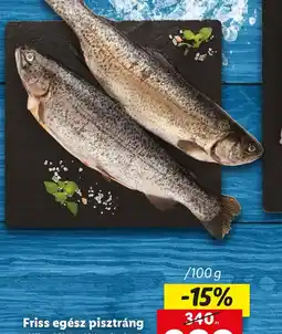 Lidl Friss egész pisztráng ajánlat