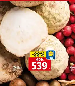 Lidl Zeller ajánlat